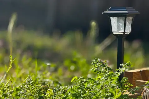 Lampa solarna w ogrodzie, która w dzień zbiera energię słoneczną, a nocą oświetla ścieżkę.