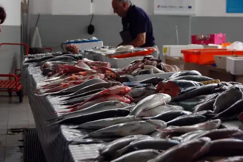 Un poissonnier prépare une vente, étal de poissons frais. La convention collective poissonnerie garantit la qualité.