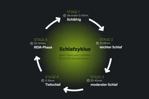 Der Schlafzyklus mit seinen Phasen (Schläfrig, leichter, moderater, Tiefschlaf, REM) erklärt die Bedeutung von gutem Schlaf. Ein Zyklus dauert 60-120 Min.