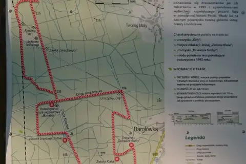 Mapa szlaku rowerowego w Nadleśnictwie Rudy Raciborskie. Trasa prowadzi przez tereny po pożarze lasu, gdzie odradza się młody las.