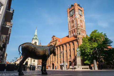 Pomnik osiołka na Rynku Staromiejskim w Toruniu przed Ratuszem Staromiejskim.