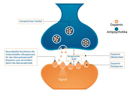 Schema einer Synapse: Dopamin-Vesikel, Dopamin-Rezeptoren und Antipsychotika.