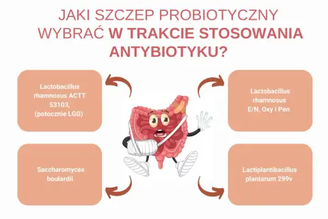 Zranione jelita potrzebują wsparcia! Wybierz odpowiedni probiotyk dla dzieci, by odbudować florę bakteryjną.