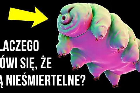 Głupie ciekawostki, które zaskoczą i rozbawią każdego znajomego