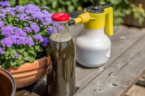 Flasche mit selbstgemachter Brennnesseljauche neben einem Sprühgerät und lila Blumen. Perfekt, um Pflanzen zu düngen.