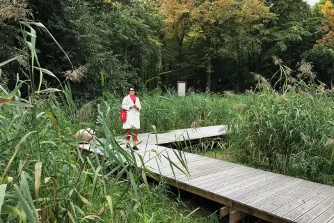 Kobieta na drewnianej kładce wśród trzcin i drzew.