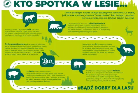 Dzikie zwierzęta w Polsce: wilk, niedźwiedź, żmija, lis, żubr, dzik. Zachowaj spokój i dystans.