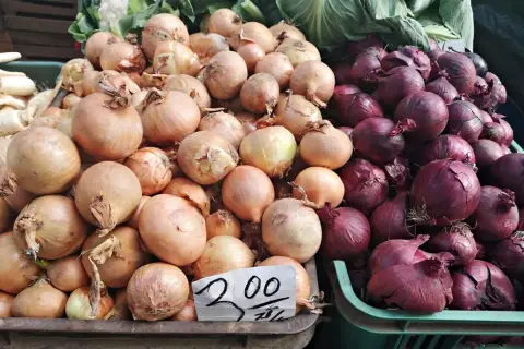 Stoisko z cebulą. Jasna i czerwona cebula, cena 2,00.