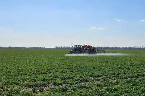 Traktor opryskuje pole zielonych roślin. To ważny etap, by zrozumieć, czym jest karencja i kiedy można spożywać plony.
