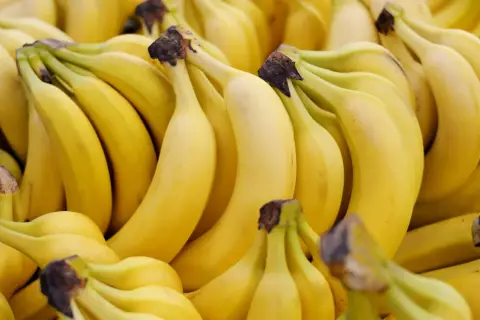 Grono dojrzałych bananów, każdy z nich ma sporo słodyczy. Ile węgli ma banan? To zależy od jego wielkości, ale te wyglądają na sycące!