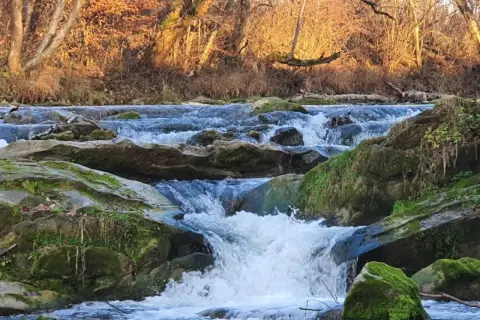 Wodospad na Olszance w Uhercach Mineralnych. Woda spływa po omszałych kamieniach, otoczona jesiennym lasem.