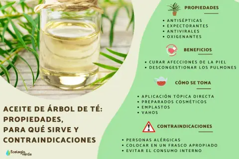 Aceite de árbol de té: usos, propiedades y beneficios. Antiséptico, antiviral y para afecciones de la piel.