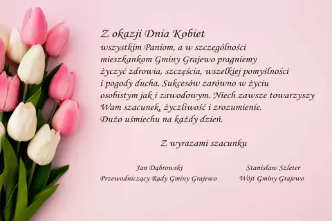 Bukiet różowych i białych tulipanów. Życzenia na Dzień Kobiet od mężczyzn dla mieszkanek Gminy Grajewo.