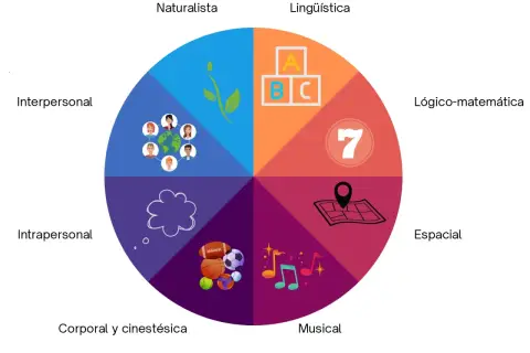 Diagrama circular ilustra las inteligencias múltiples: naturalista, lingüística, lógico-matemática, espacial, musical, corporal, intrapersonal e interpersonal.