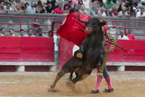 Un toro bravo embiste a un torero español en la arena, con el público observando.
