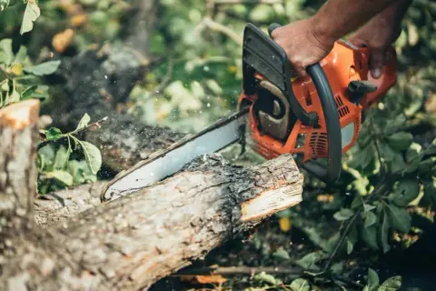 Ręce trzymające pomarańczową pilarkę spalinową, która przecina drewno. Pomocne przy wyborze, jaką pilarkę spalinową wybrać.