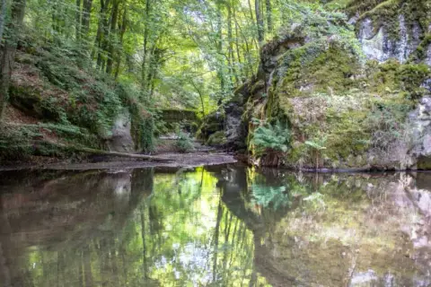 Riflessi verdi nell'acqua di un ruscello nella faggeta del Monte Amiata, tra rocce muschiose e alberi rigogliosi.