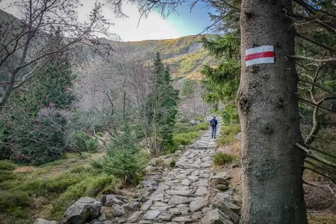 Kamienista ścieżka w górach, oznaczona czerwonym szlakiem na Śnieżkę. Wędrowiec idzie w stronę szczytu.