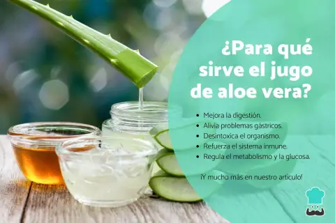 Jugo de aloe vera: mejora digestión, alivia gastritis, desintoxica, refuerza inmunidad y regula metabolismo. Descubre para qué sirve el aloe vera.