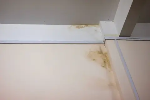 Taches de moisissure et d'humidité au plafond et sur le mur, preuves pour se défendre contre une accusation de vice caché maison.