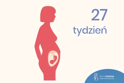 Sylwetka kobiety w ciąży, w brzuchu widoczny płód. Obok napis: 27 tydzień.