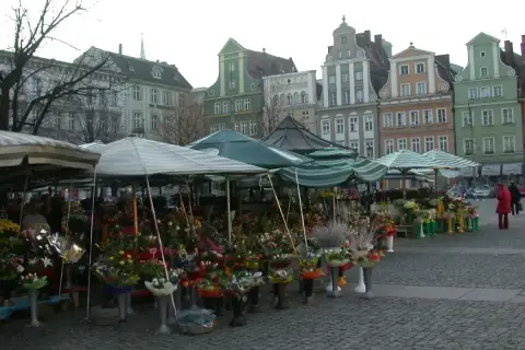 Kwiatowe stoiska na placu solnym we Wrocławiu, kolorowe kamienice w tle.