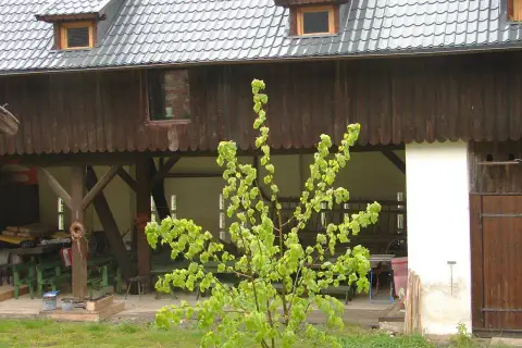 Skansen Gottwaldówka - odkryj historię i atrakcje Kątów Bystrzyckich