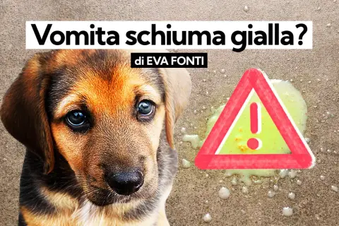 Cucciolo preoccupato accanto a vomito giallo e un segnale di pericolo.