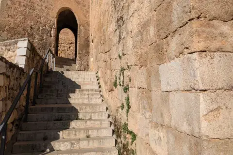 Escaleras de piedra ascienden hacia un arco en el castillo de Requena. La antigua muralla de piedra, con vegetación creciendo en sus grietas, proyecta sombras.