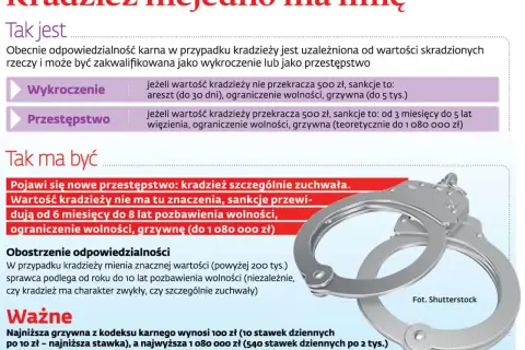 Kajdanki symbolizują kradzież szczególnie zuchwałą, gdzie wartość łupu nie ma znaczenia, a kary są surowe.