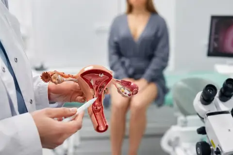 Lekarz pokazuje model narządów rodnych, wskazując na obszar, który może być dotknięty nadżerką. Pacjentka siedzi w tle.