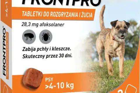 Tabletki na kleszcze dla psa: Które wybrać? Bezpieczny przewodnik