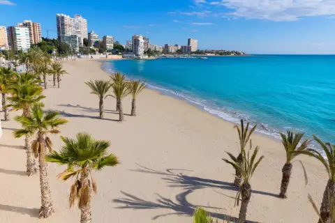 Piękna plaża z palmami i turkusowym morzem. Idealne miejsce na wakacje, pomyśl o lotach Warszawa-Alicante!