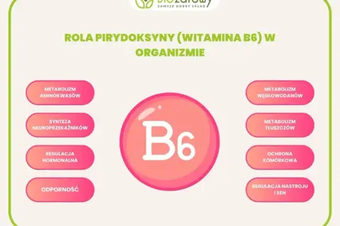 Wizualizacja roli witaminy B6 w organizmie: metabolizm aminokwasów, węglowodanów, tłuszczów, synteza neuroprzekaźników, regulacja hormonalna, ochrona komórkowa, odporność, regulacja nastroju i snu.