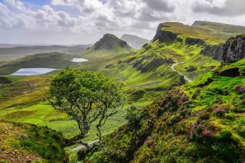 Winding road through lush green hills, a solitary tree, and distant lochs showcase the beauty of hiking trails in Scotland.