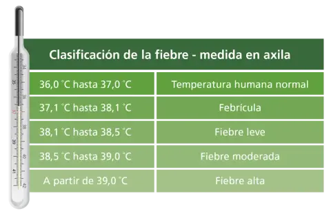 Termómetro muestra clasificación de fiebre en niños de 2 a 3 años: normal, febrícula, leve, moderada y alta.