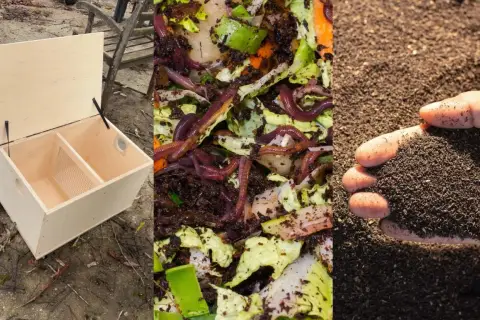 Selbstgebaute Wurmbox mit Würmern und fertigem Wurmkompost.