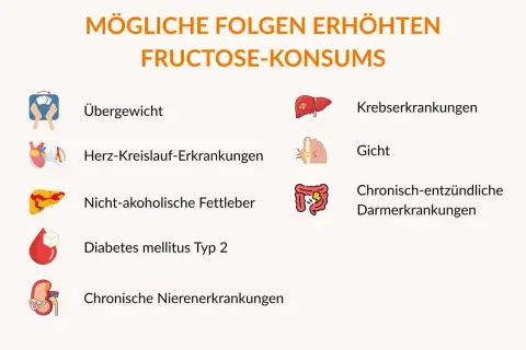 Mögliche Folgen von erhöhtem Fructose-Konsum: Übergewicht, Herz-Kreislauf-Erkrankungen, nicht-alkoholische Fettleber, Diabetes Typ 2, Nierenerkrankungen, Krebs, Gicht, Darmerkrankungen.