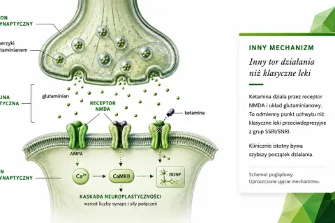Schemat działania ketaminy na receptor NMDA, pokazujący jej odmienny mechanizm w porównaniu do klasycznych leków przeciwdepresyjnych.