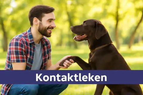 Man och hund ler mot varandra i parken, en bild som symboliserar hund yoga och en stark relation.