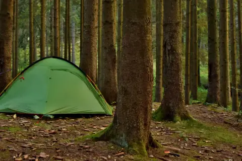 Zielony namiot i rowery czekają na przygodę. Idealne miejsce na camping w górach, wśród szumiących drzew.