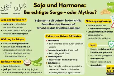 Infografik über Soja und Hormone. Diskutiert Isoflavone, ihre Wirkung und ob sie Nebenwirkungen wie Brustkrebsrisiko oder hormonelle Störungen verursachen.