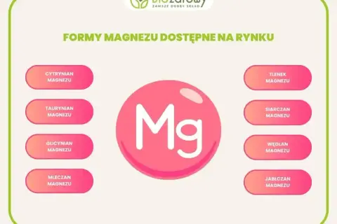 Grafika przedstawia różne formy magnezu: cytrynian, taurynian, glicynian, mleczan, tlenek, siarczan, węglan i jabłczan.