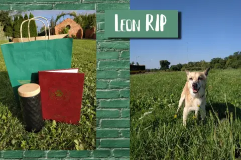 Ile kosztuje kremacja psa w UK? Sprawdź ceny i ważne informacje