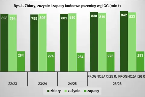 Wykres pokazuje prognozy zbiorów, zużycia i zapasów pszenicy. Czy ceny zbóż wzrosną? Zobacz dane!