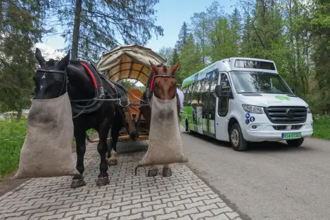 Dwa konie z workami na nogach czekają na turystów, którzy wybierają się na Morskie Oko. Obok stoi elektryczny bus.