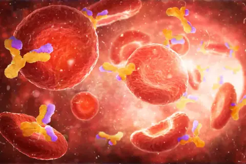 Die komplexe Diagnostik von Autoimmunerkrankungen verstehen