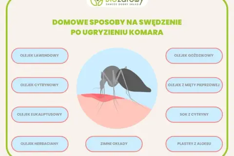 Grafika pokazuje komara gryzącego skórę, wywołując swędzenie. Przedstawia domowe sposoby na uczulenie na komary, np. olejki i zimne okłady.