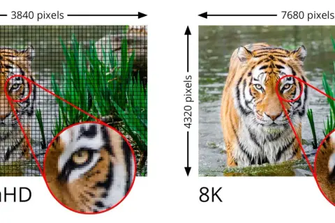 Vergleich von 4K UltraHD und 8K: Ein Tiger im Wasser, wobei 8K eine deutlich höhere Detailgenauigkeit zeigt.
