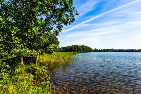 Zielona linia brzegowa z drzewami i trzcinami nad spokojną taflą wody. W oddali las, a na niebie białe smugi. Może to jedno z najgłębszych jezior w Polsce?